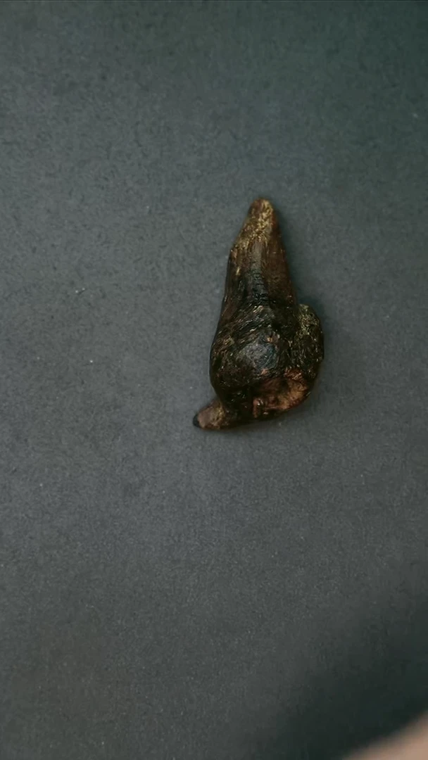 沉香吊坠21.8g 正区达拉干树心瘤疤老料