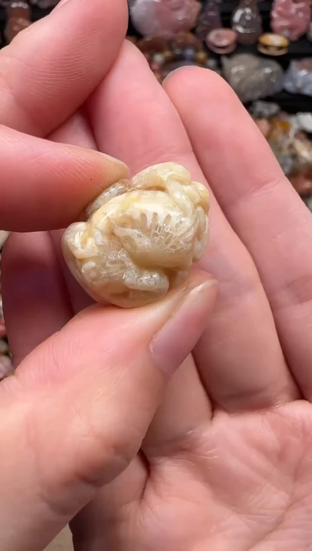 颈饰未镶嵌硅化珊瑚（珊瑚玉）705