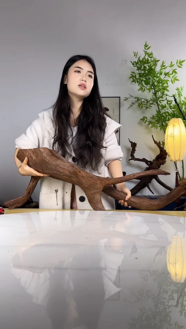 I拍沉木定向链接编号57-58