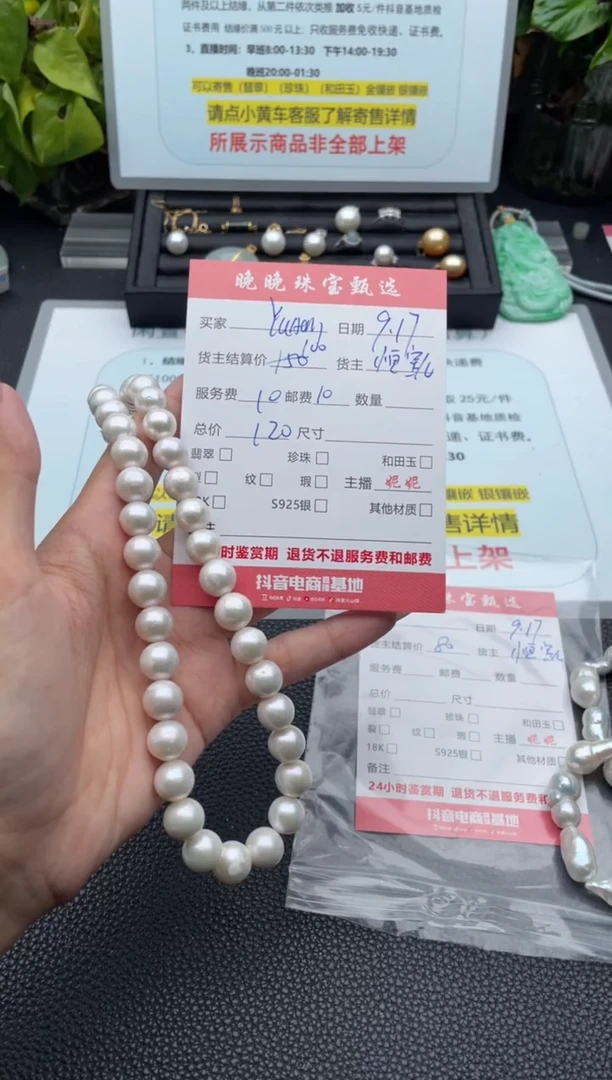颈饰未镶嵌淡水珍珠Y****N项链
