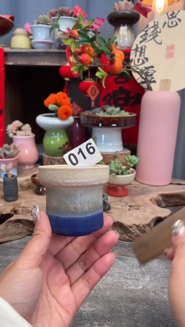 【闪购商品】摆件016知木小芳花盆