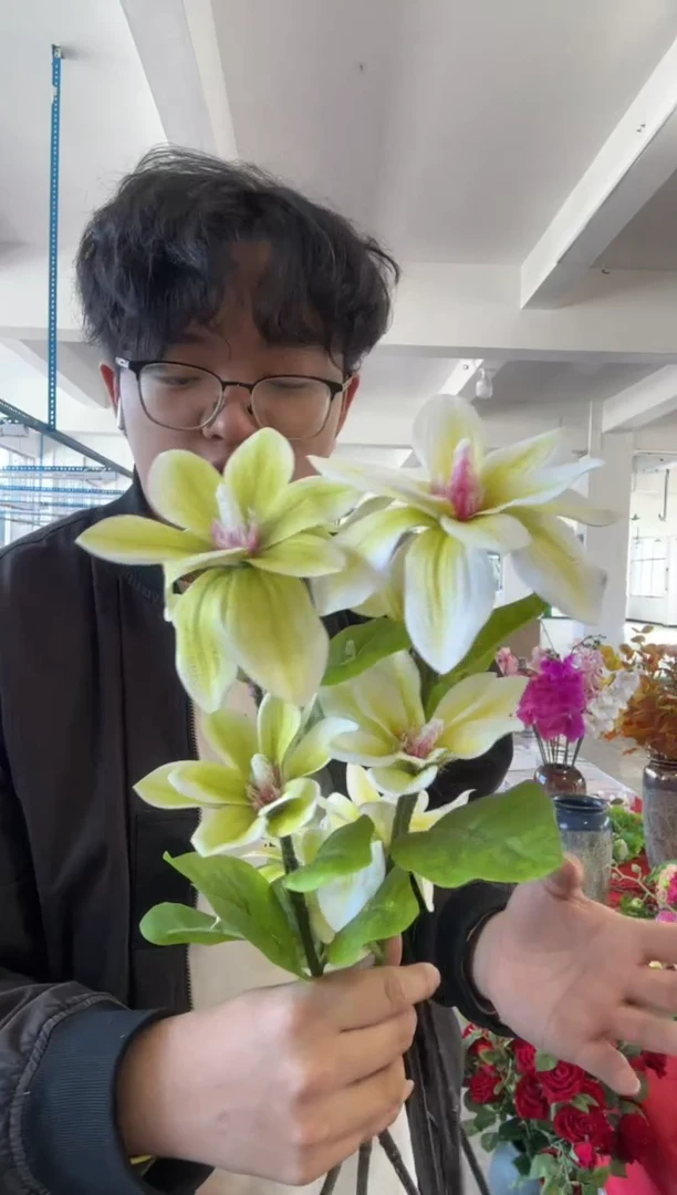 【闪购商品】仿真绿植兰花2束