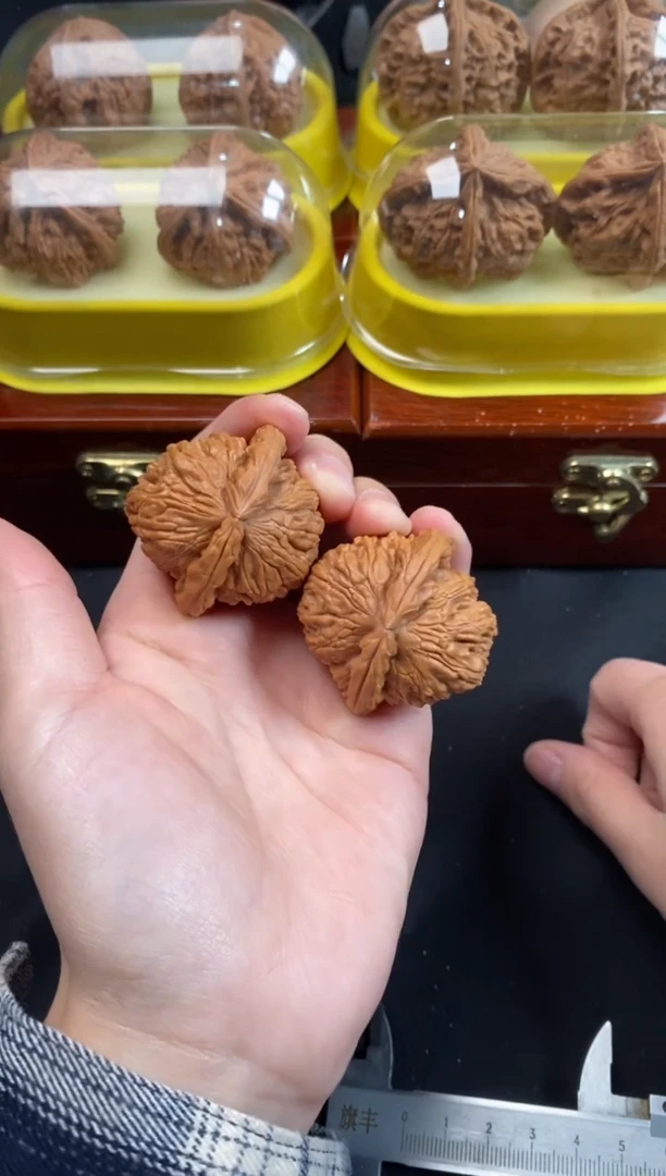 核桃白狮子39尺Q070