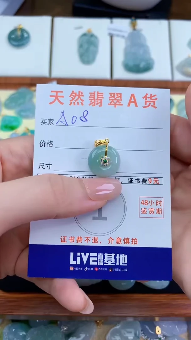 颈饰未镶嵌翡翠天然A货翡翠挂件