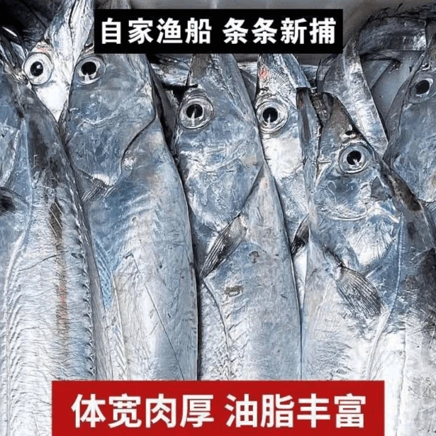 【5斤6条】新鲜海捕油带鱼 到手5斤