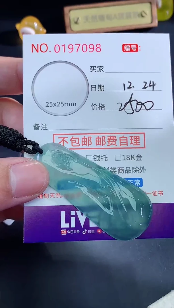 颈饰未镶嵌翡翠王**贵天然缅甸A货翡翠