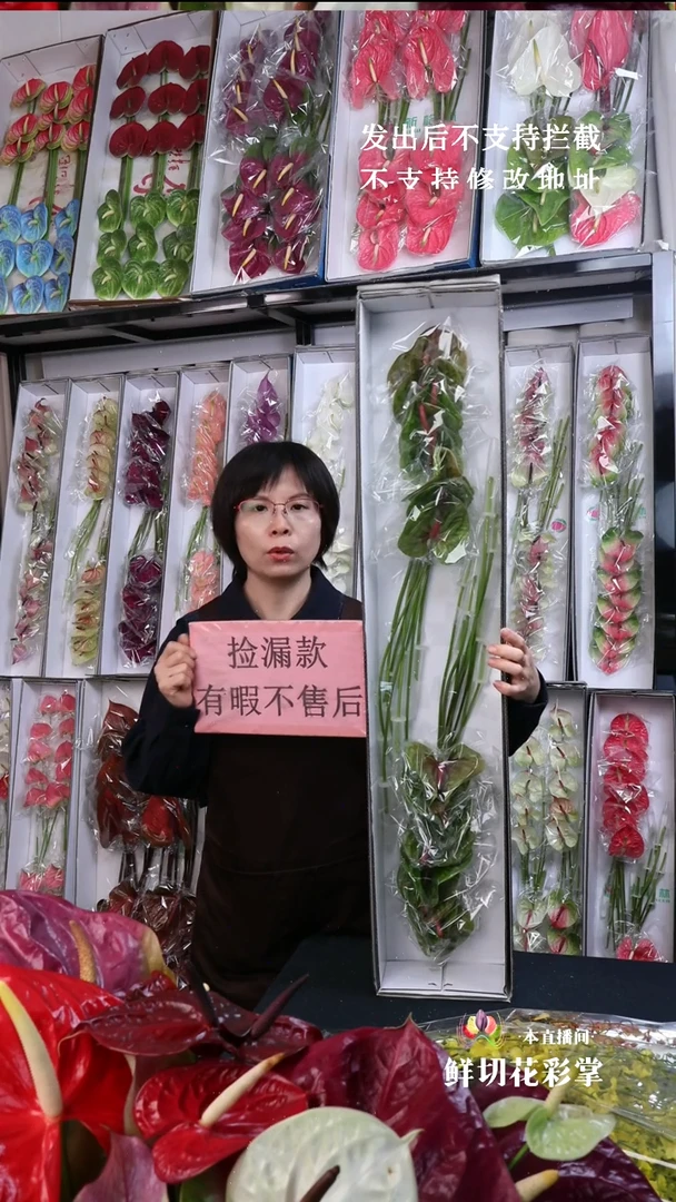 完全开放绿红心16枝(长25-30横冠幅7-10c有瑕福利不退不换不售后