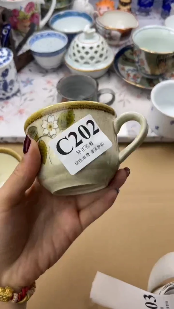 瓷片          C202