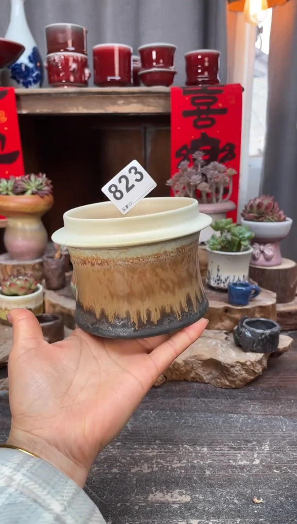 【闪购商品】摆件823知木小芳花盆