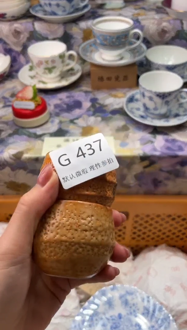 瓷片生*力G        437