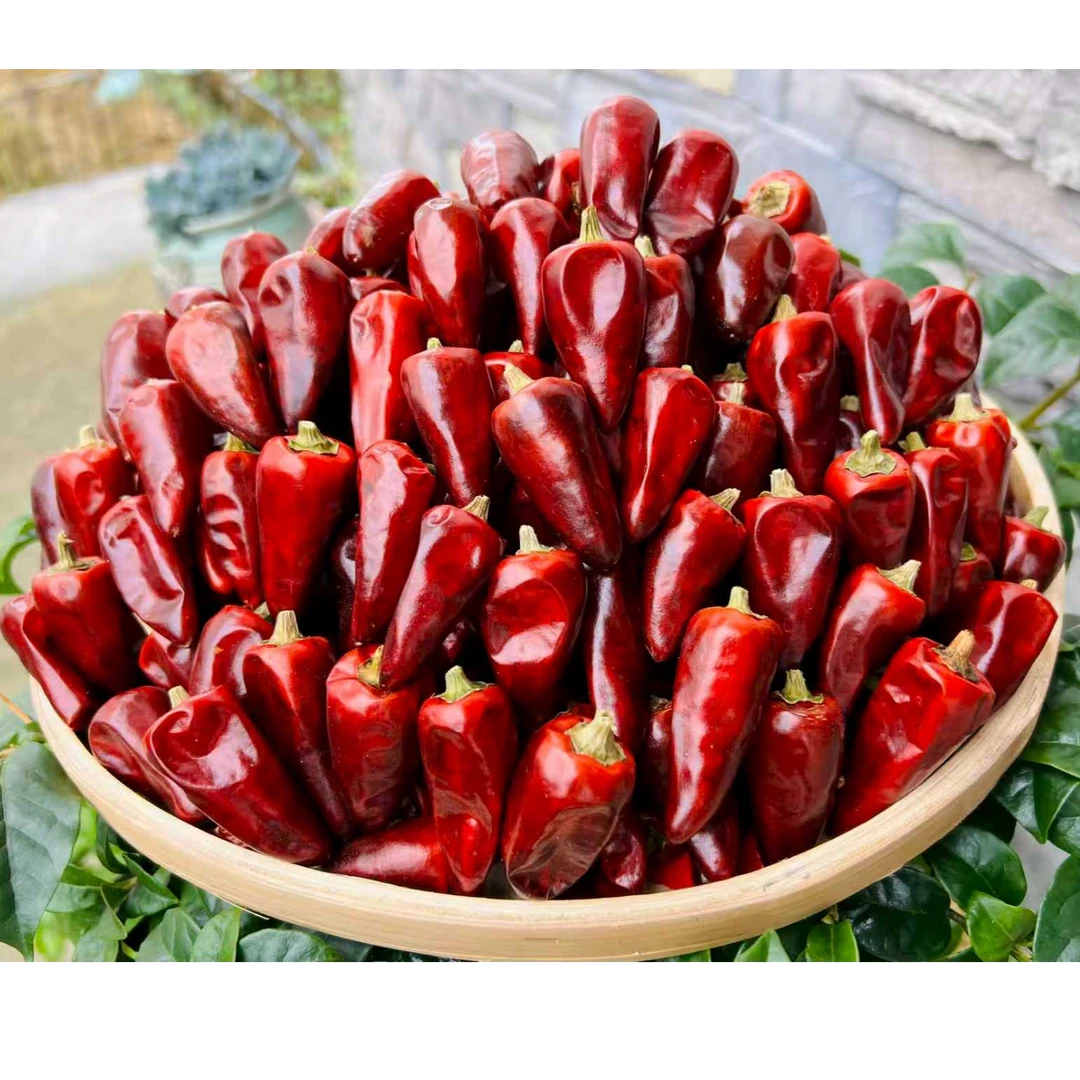 贵州辣酱火锅食材干辣椒又辣又香农家批发辣椒干红海椒500g腊肠