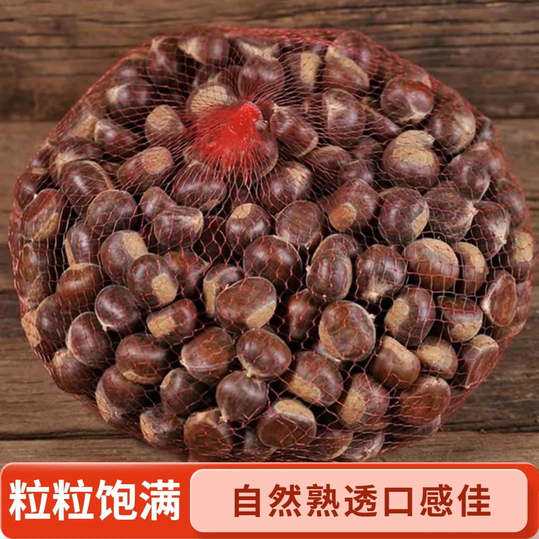 现摘现挑新鲜板栗带壳正宗迁西大果栗子2025老树油栗包邮软糯香甜