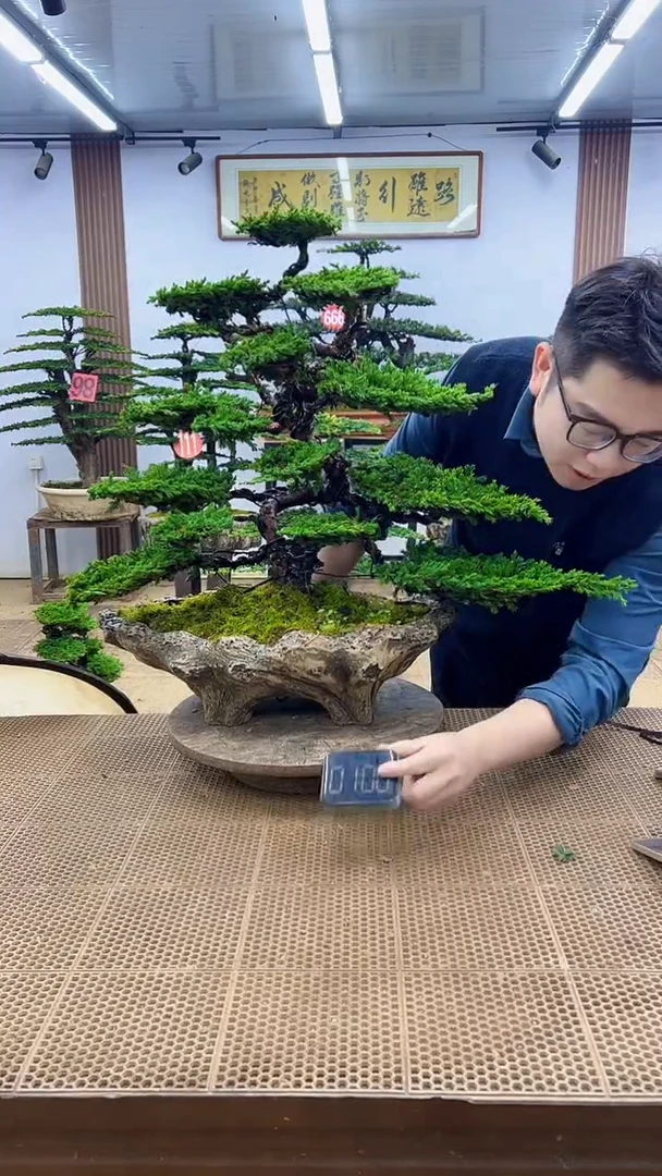 无花朵0000000000000