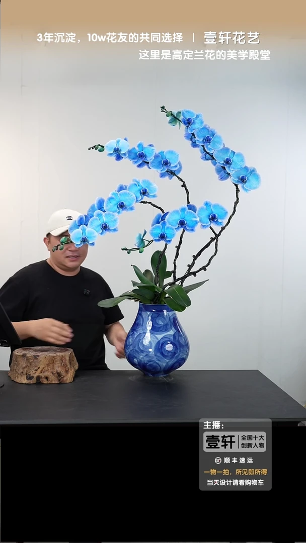 全部花朵004号链接【一物一拍】艺术盆景
