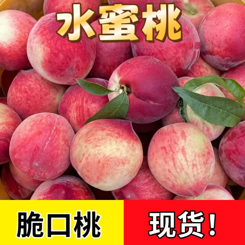 水蜜桃桃子新鲜脆桃产地现摘水果