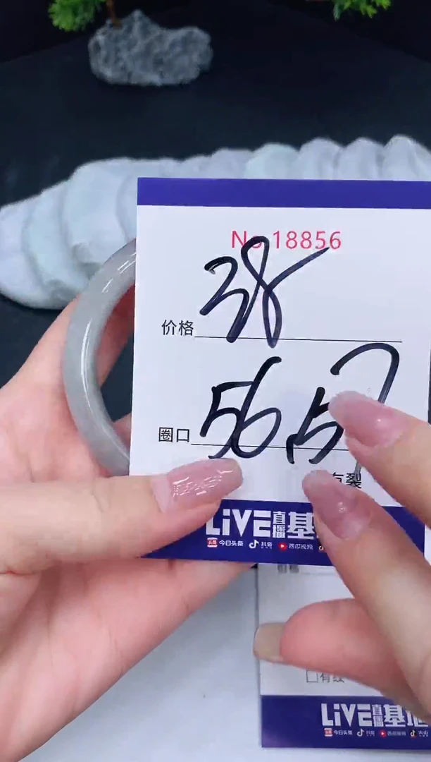 未镶嵌手镯翡翠18856