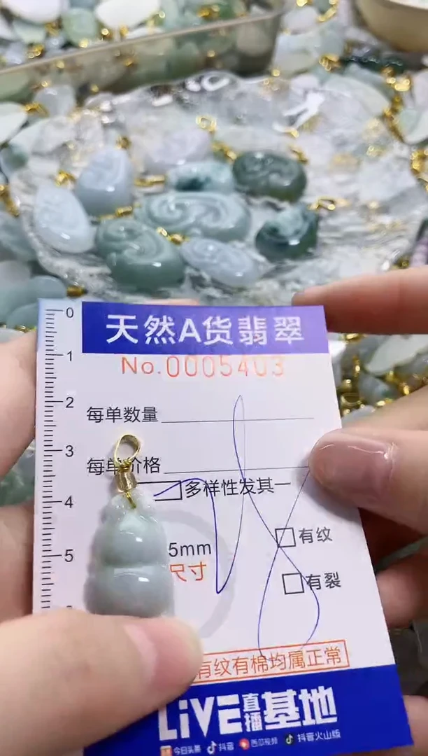颈饰未镶嵌翡翠天然A货翡翠