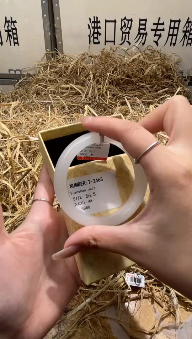 未镶嵌手镯石英质玉T2463HU