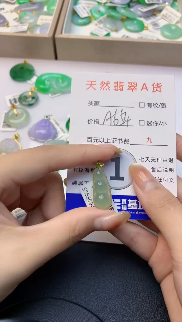 颈饰18K金镶嵌翡翠天然A货缅甸翡翠百元以上9元证书费自理