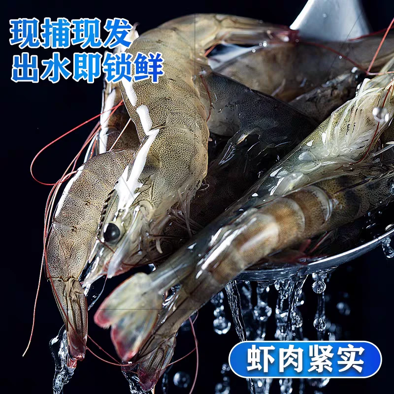 活冻海虾海水虾整盒带箱5斤盐冻大虾40-50大虾同城送