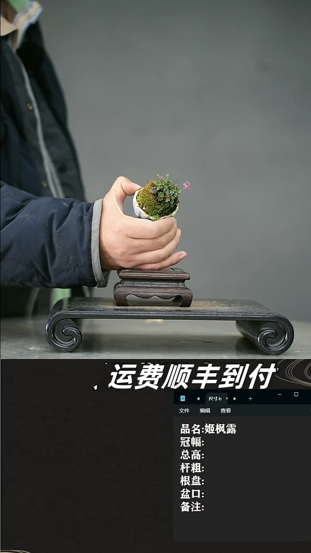 【闪购商品】14 姬枫露