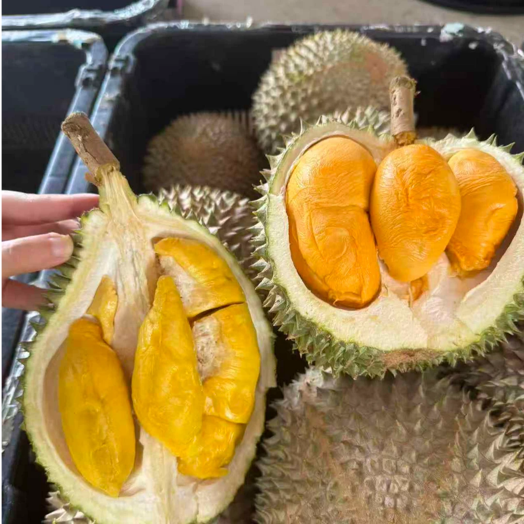 新鲜发货马来西亚鲜果猫山王黑刺多品种直播间福利顺丰空运包邮