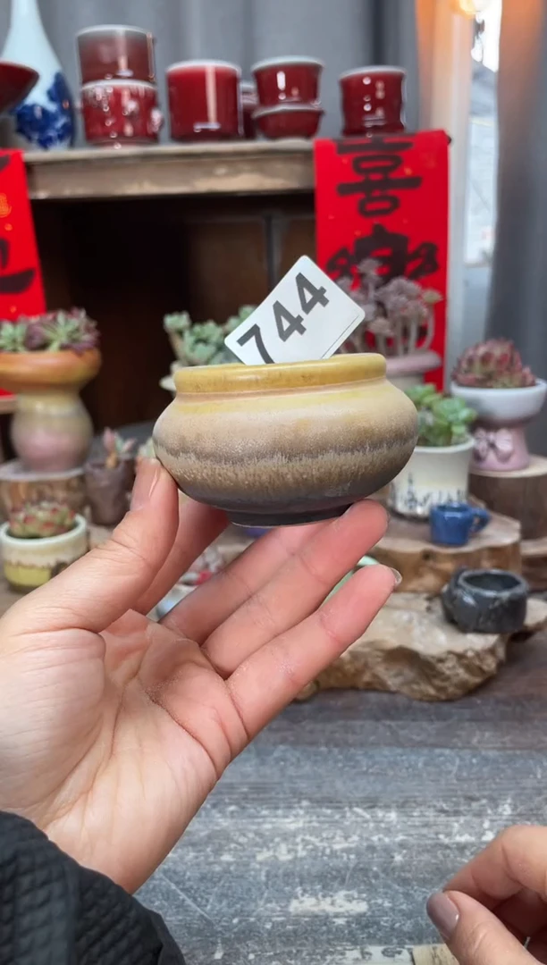 【闪购商品】摆件744知木小芳花盆