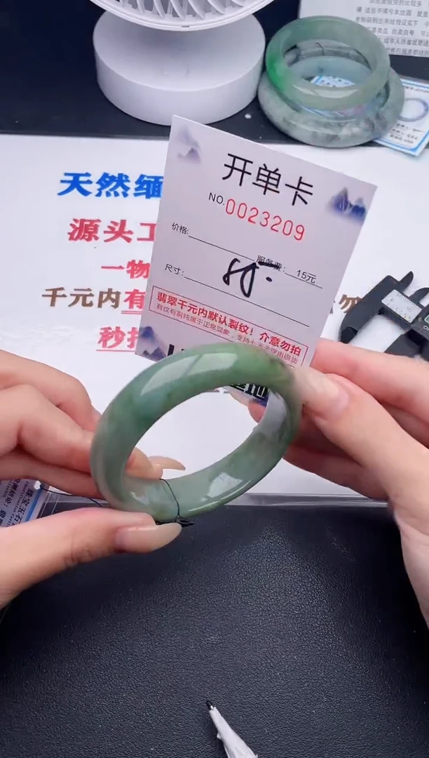 未镶嵌手镯翡翠09