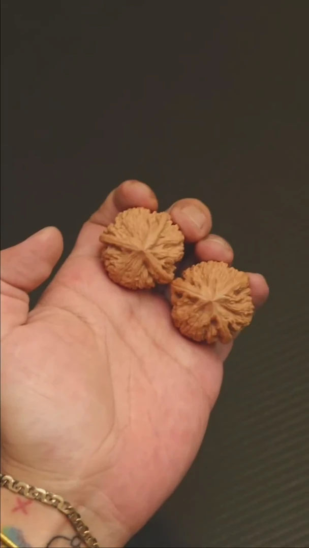 福利福利福利御龙粗筋三棱34