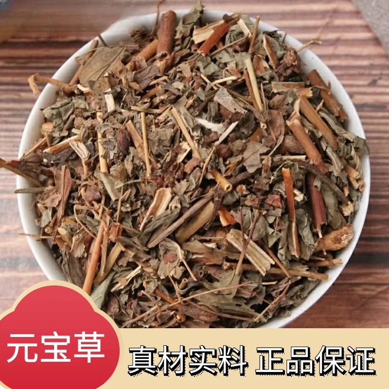 正宗元宝草精选合掌草500g-1000g叶抱枝新鲜干货哨子草叶菜包邮