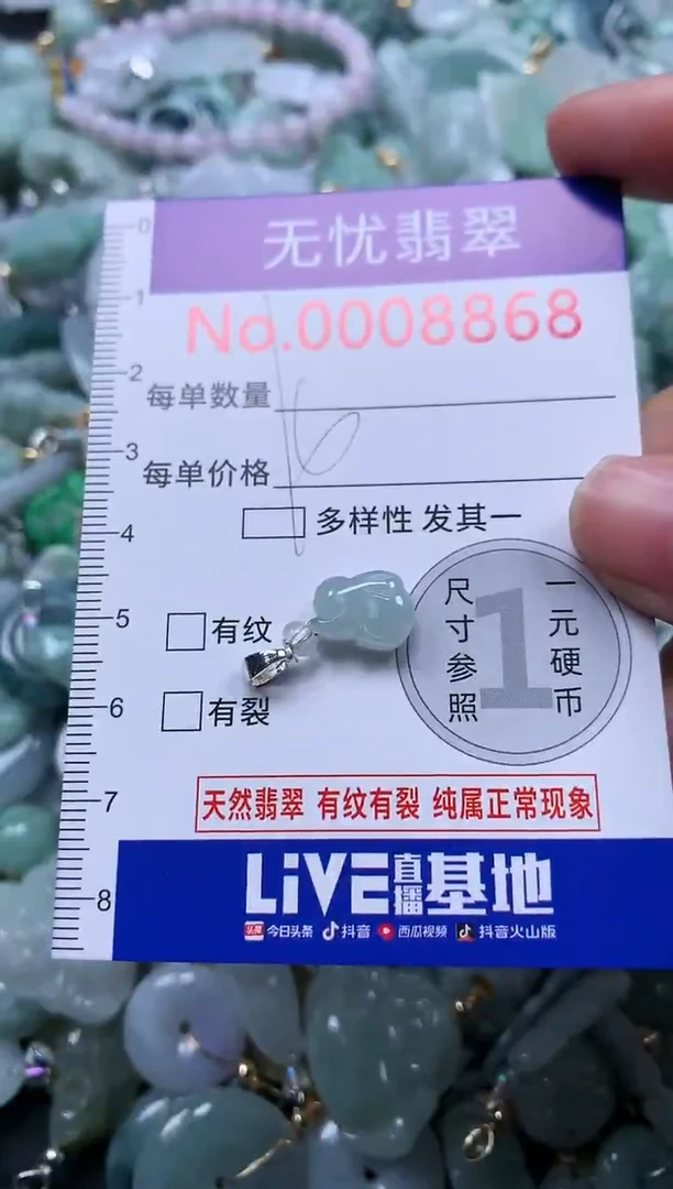 颈饰未镶嵌翡翠8868