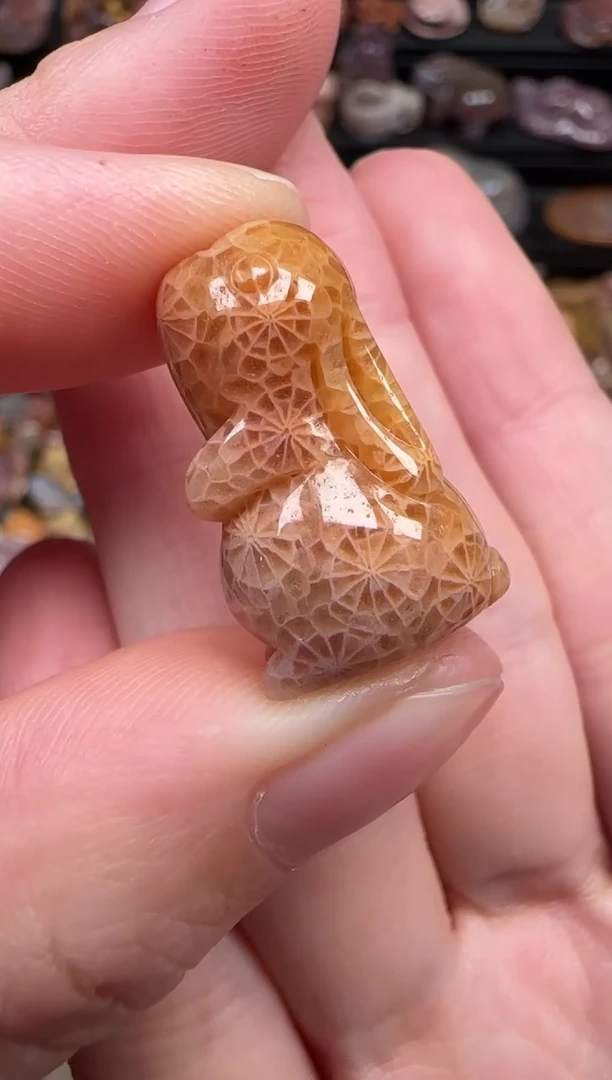 颈饰未镶嵌硅化珊瑚（珊瑚玉）816