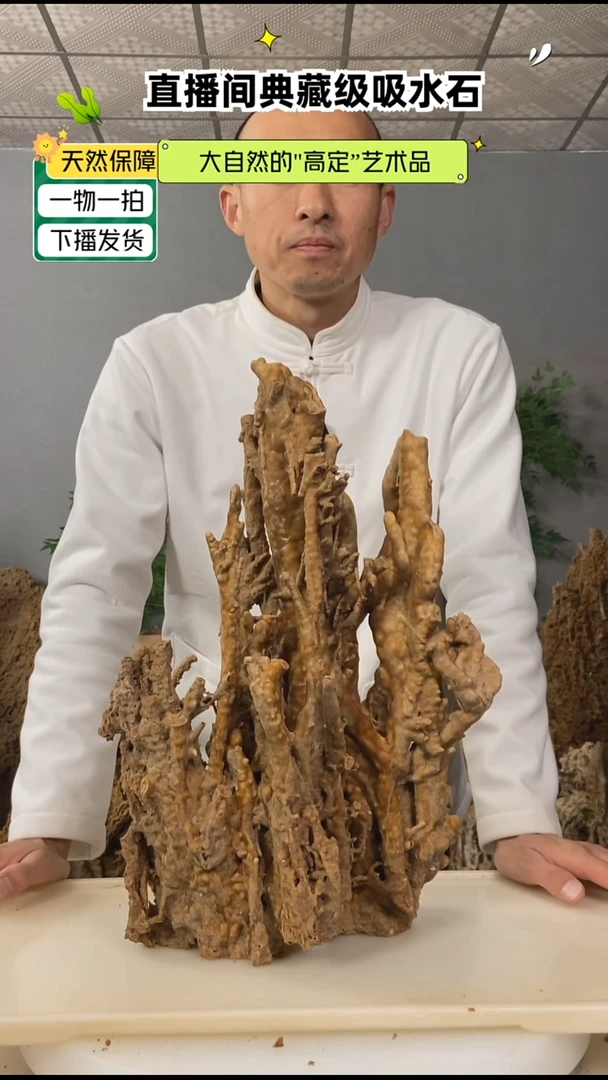 无花朵上****曹吸水石111