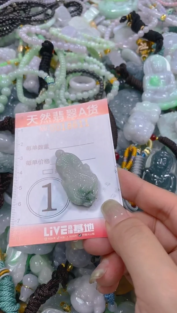 翡翠未镶嵌颈饰闪购0018611