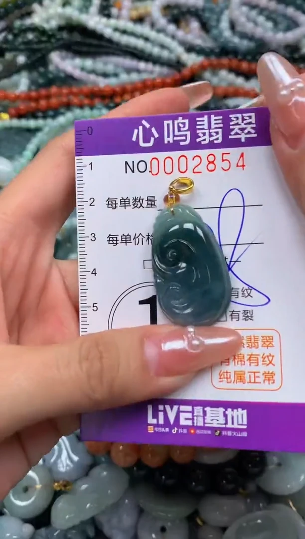 颈饰未镶嵌翡翠闪购002854