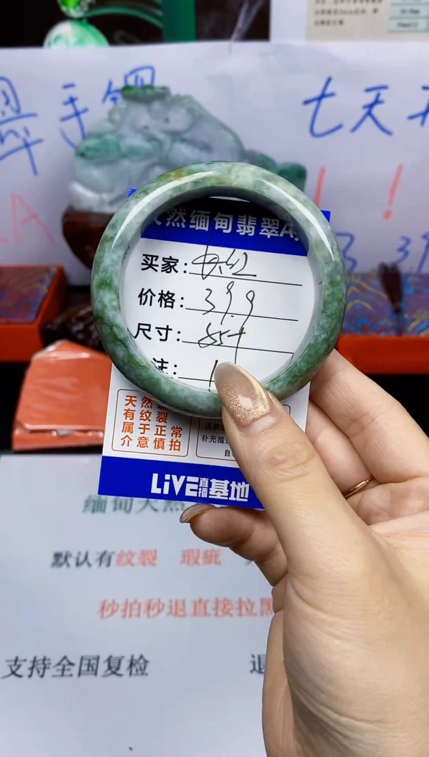 未镶嵌手镯翡翠长**河18