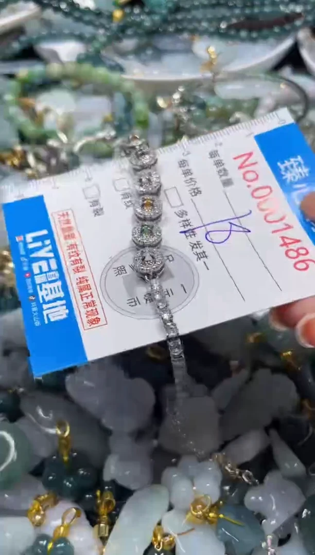 颈饰未镶嵌翡翠1486