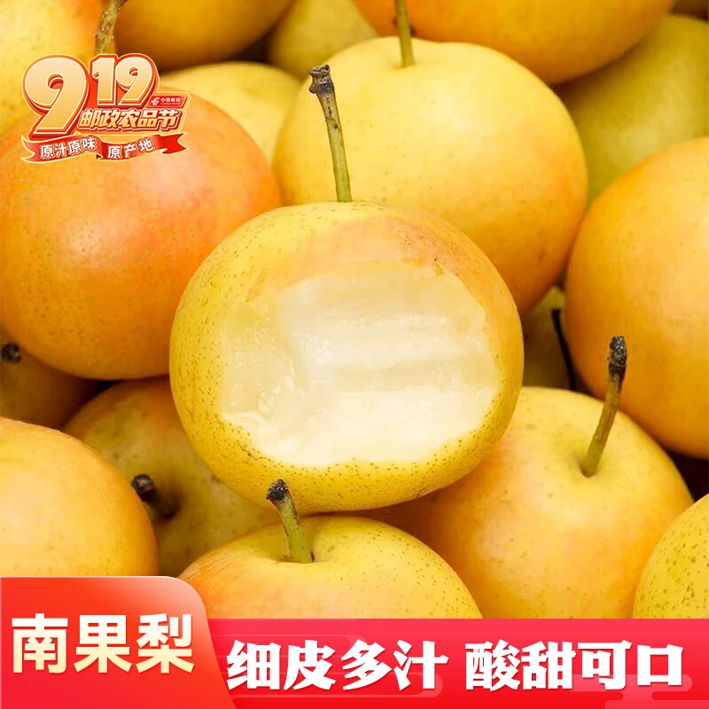 【鞍山礼盒装特产】南果梨东北特产梨大果新鲜原产地直发孕妇水果