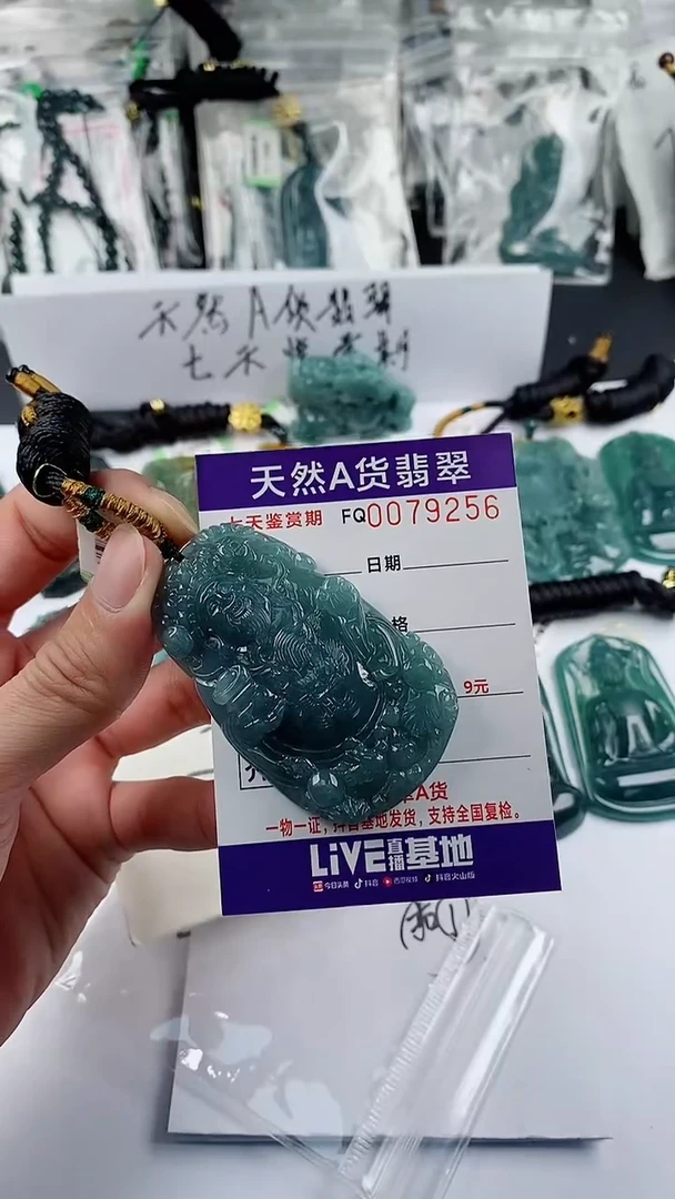 【闪购商品】翡翠颈饰未镶嵌