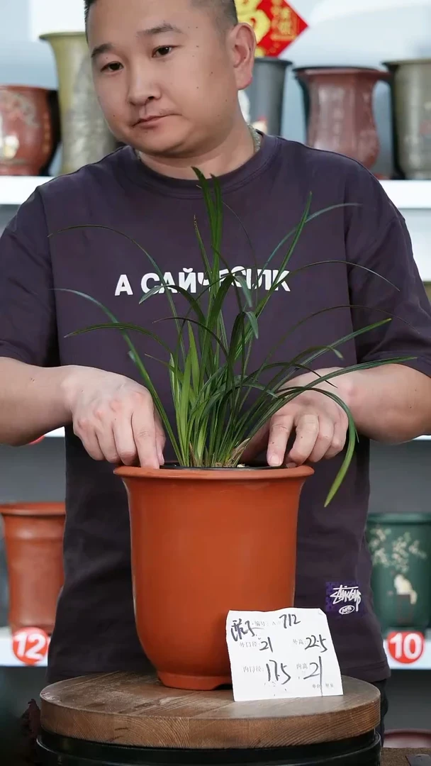 紫砂花盆712+瑕 花卉工艺