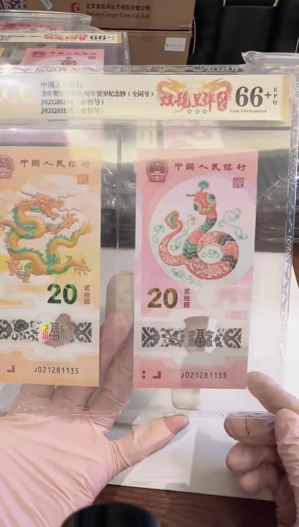 塑料2024龙蛇全同号一对啊啊啊啊