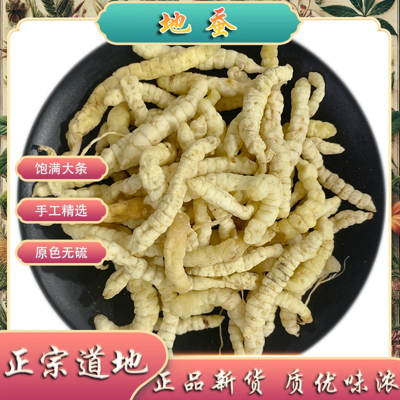地蚕中药材云南野采正宗草石地蚕冬虫草白虫草泽兰地参云南虫草参