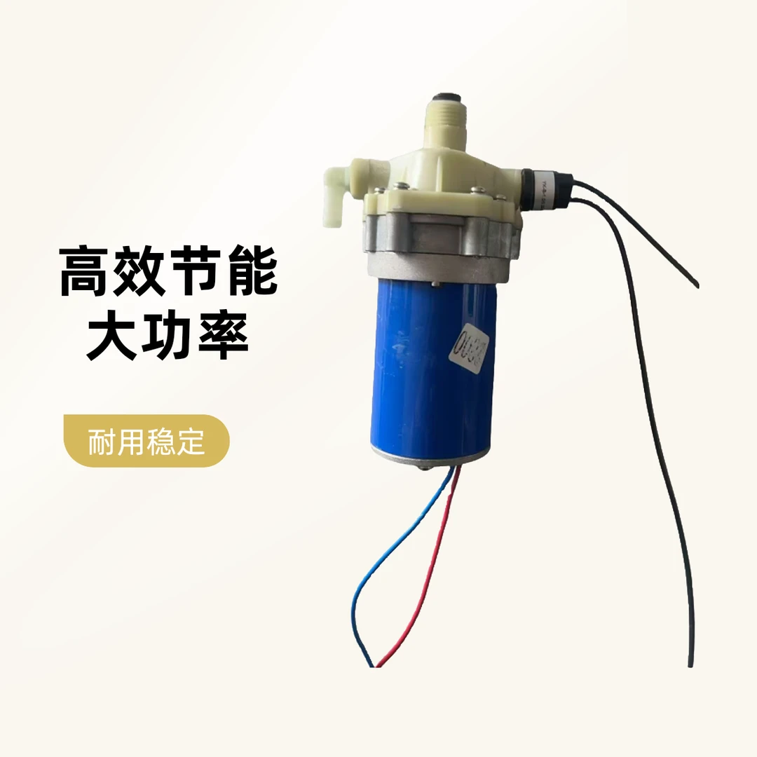 水泵12V双核泵电动外置打药泵全铜电机增压泵2800三缸泵48V60V72V