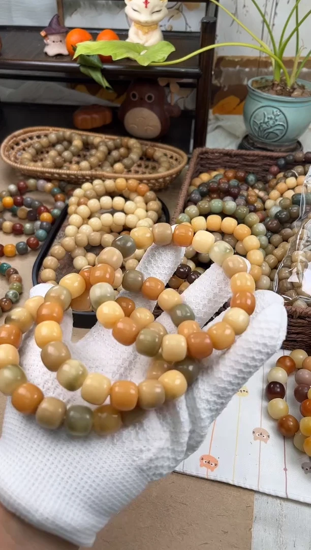 手串菩提根/象牙果a496 卡13.8 干磨海子