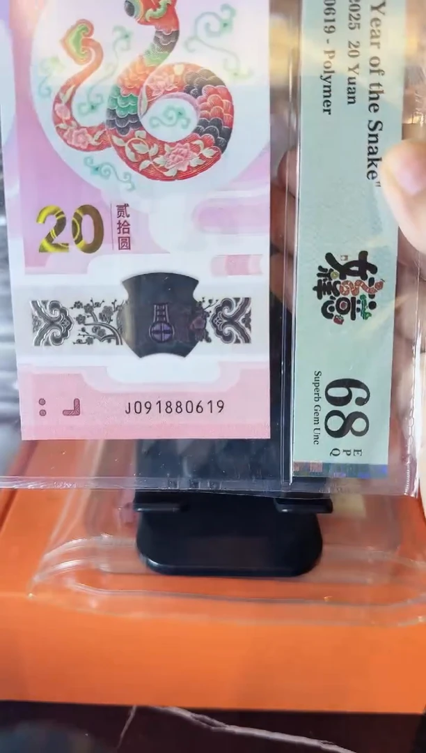 塑料2025 蛇钞 单张   啊啊啊啊啊啊