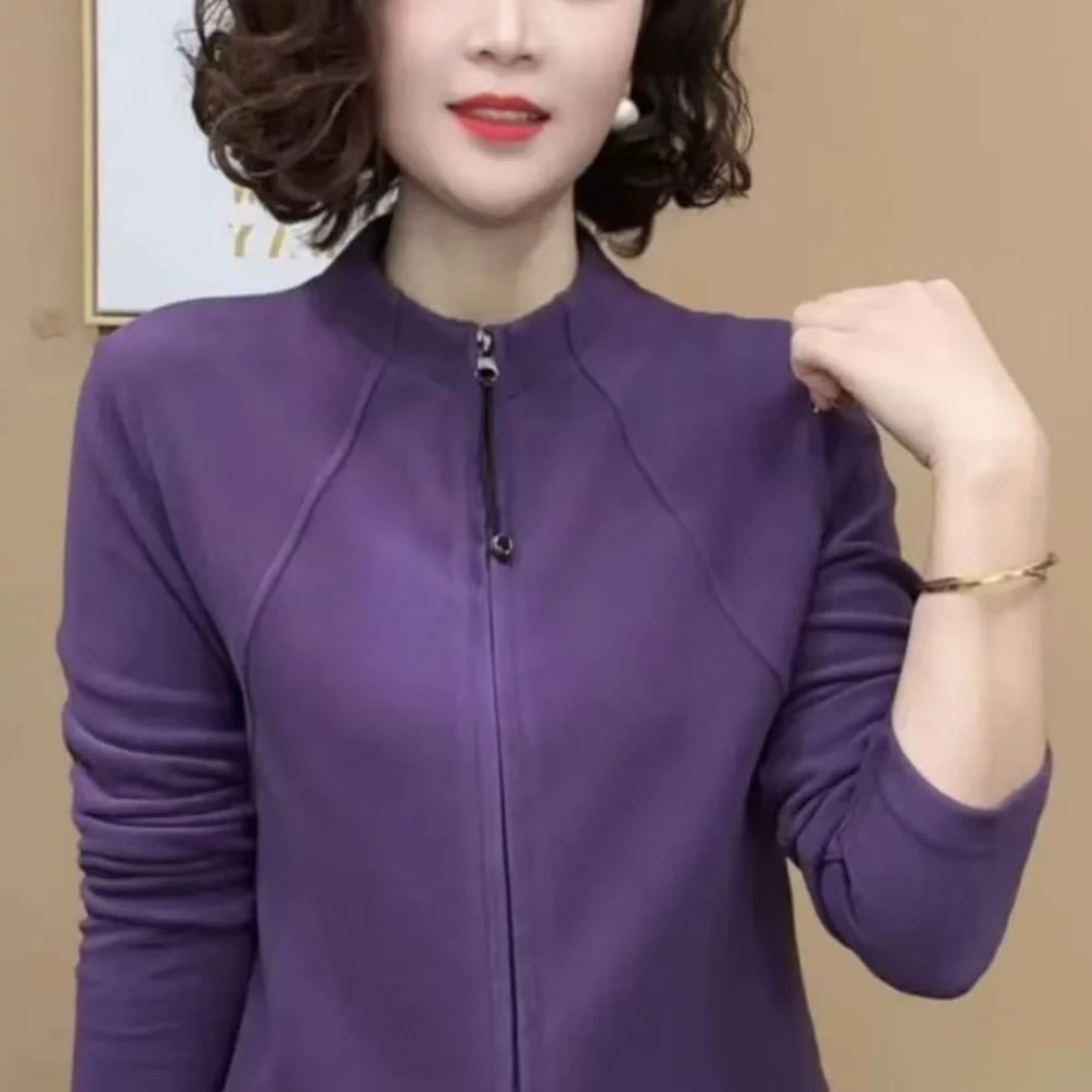 杨家春秋时尚洋气百搭气质拉链开衫长袖减龄女上衣显瘦休闲立领