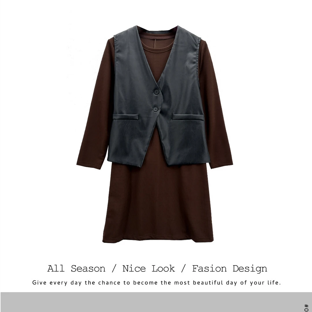 029 坎肩气质无袖马甲背心长袖连衣裙两件套女胖m穿搭一整套#5500