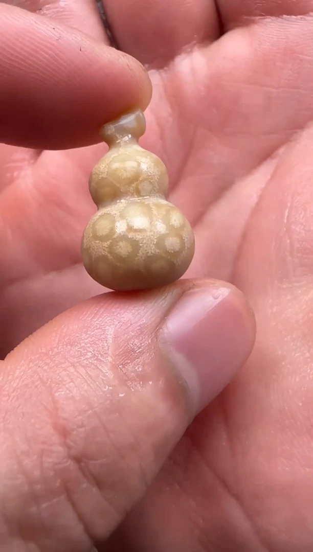 【闪购商品】硅化珊瑚（珊瑚玉）颈饰未镶嵌124