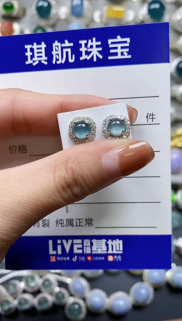 【闪购商品】翡翠耳饰银S925镶嵌0564