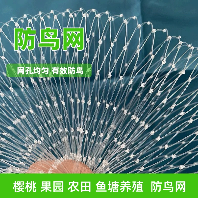 果树大棚防鸟网樱桃树防鸟丝网葡萄树防鸟尼龙网果园防护网白色